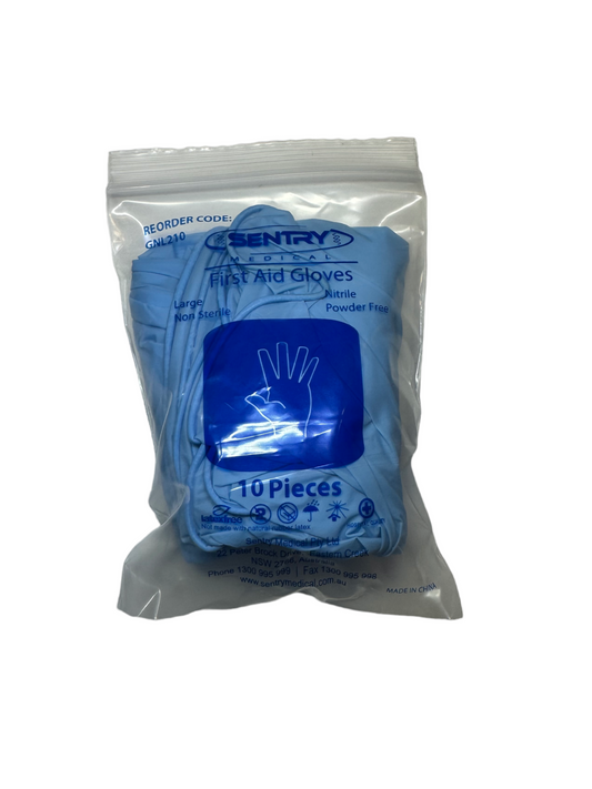 Nitrile Gloves - Large (10 pcs)